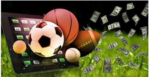 k-sports-betting-a-paradise-for-sports-betting-enthusiasts-solutiontipster